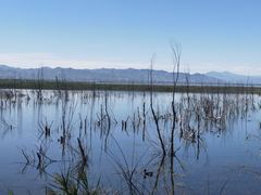 -野鸭湖国家湿地公园