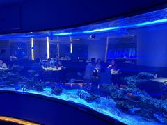 -上和臻品中国菜(花园街店)