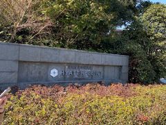 -上海崇明金茂凯悦酒店