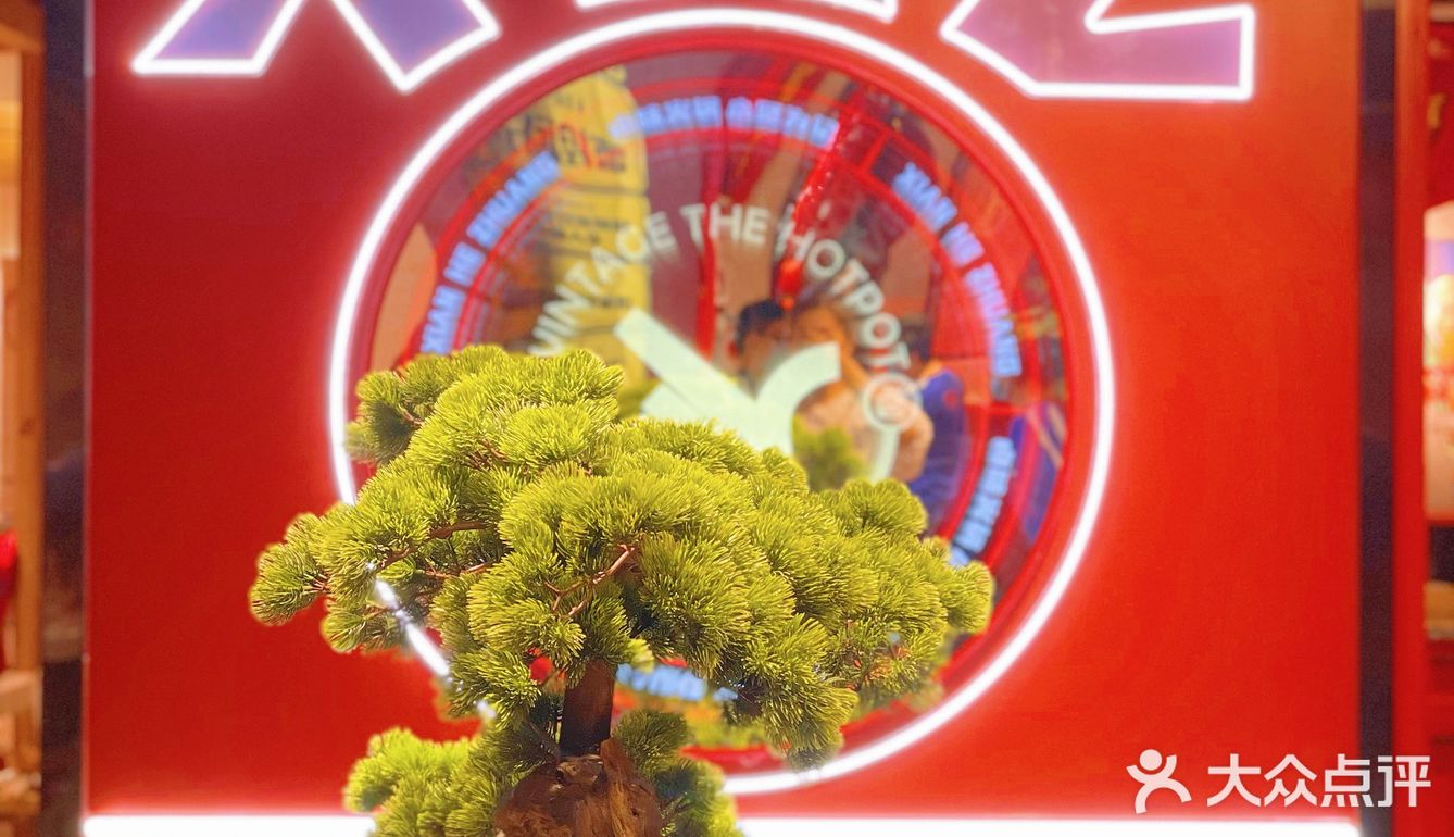 又一家2.0升级版火锅🍲你肯定还没吃过💠✅