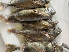 -蚝乡农庄(铁涌赤岸店)