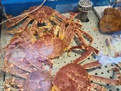 -开海·红岛海鲜虾水饺(石老人店)