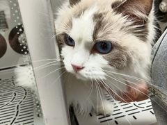 -FAELING PETS美天灵宠物(富力广场店)
