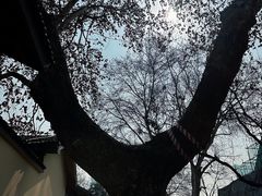 -颐和路民国时期公馆风貌区