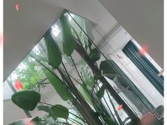 -IL Forno 意坊·意大利餐厅(花园店)