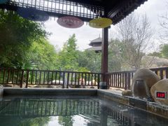 -凤翔首邑温泉度假村