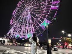 -南昌之星摩天轮