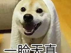 -嘿哟动霸CHUA·新潮玩运动娱乐中心·蹦床滑冰团建乐园