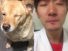 -北京观赏动物医院·24小时大型综合·猫专科·异宠专科