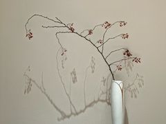 -恒悦轩·粤菜(上海展览中心店)