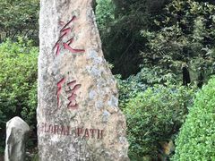 -庐山风景区花径公园