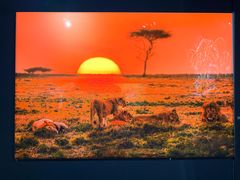 -罗红摄影艺术馆