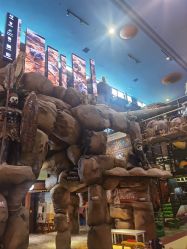 -卡通尼·Safari非洲探索乐园·生日会(金桥国际商业广场店)