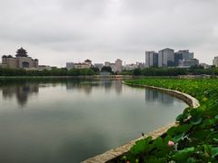 -莲花池公园