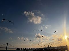 -大连星海广场音乐喷泉