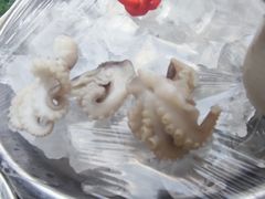 -肥姐美食(同福中路店)
