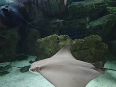 -珠海长隆海洋王国