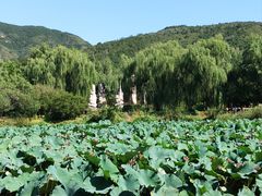 -国家植物园南园