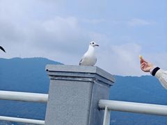 -滇池海埂公园