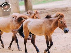 -杭州野生动物世界