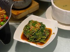 -新蜀会四川豆花(五羊店)