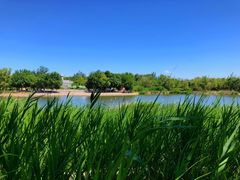 -永定河休闲森林公园