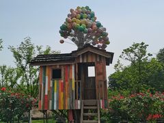 -秀丽东方