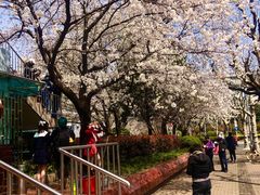 -上海南浦大桥长途旅游客运站