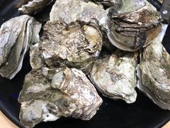 -蚝抵食·湛江生蚝(湾北路店)