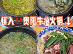 -榕江牛瘪牛肉火锅(东新路店)