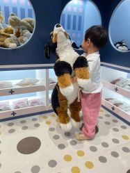 -MELAND CLUB亲子乐园·派对·餐厅(北京芳圆里ID MALL店)