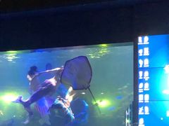 -重庆欢乐海底世界