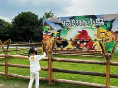-洪湖家庭农场·团建·露营·会议