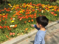 -徐家汇源景区-衡山公园
