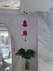 -小梨专业脱毛连锁机构