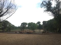 -赛汗塔拉风情园