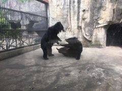 -南昌动物园