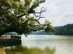 -新安江山水画廊风景区