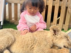 -鄂尔多斯野生动物园