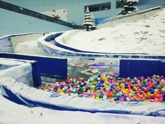 -哈尔滨热雪奇迹