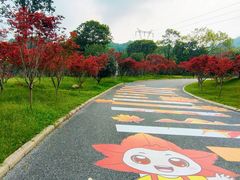 -广州市帽峰山景区