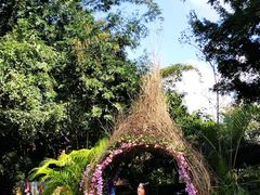 -西双版纳勐泐文化旅游区