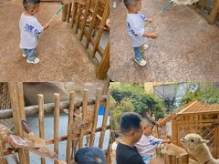 -杭州开元森泊度假乐园