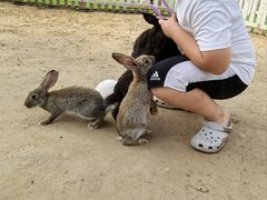 -渔岛海洋度假区