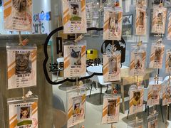 -藏猫猫咖啡主题馆(中央大道店)