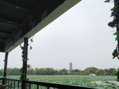 -卡萨布兰卡(梅苑店)