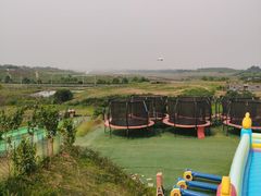 -空港花田景区