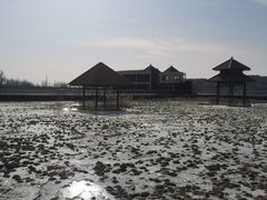 -青龙湖公园