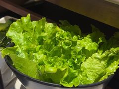 -祥源胡同·涮牛羊肉火锅(花桥店)