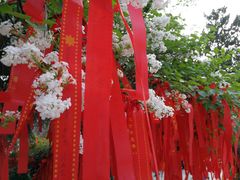 -西安青龙寺遗址景区